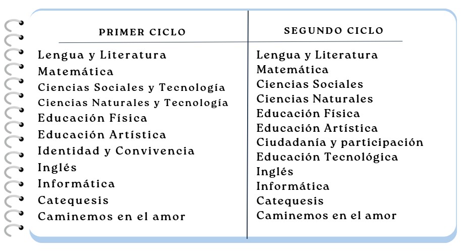 Estructura de primer y segundo ciclo